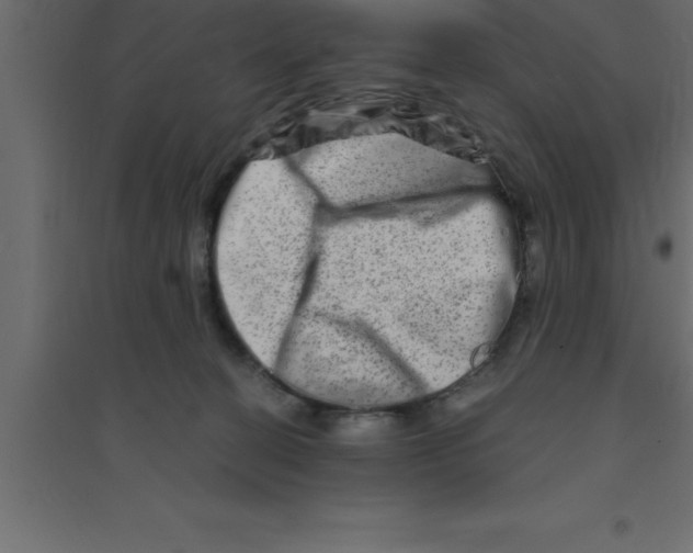 X0000094200274200711241644