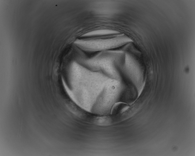 X0000094200275200711241644