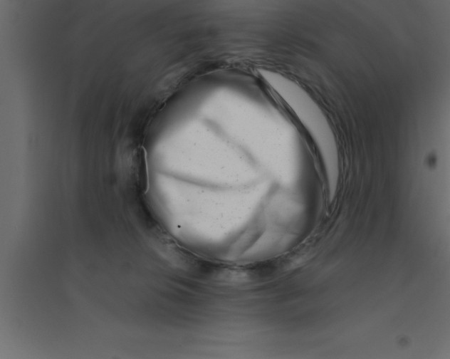 X0000094200276200711241644