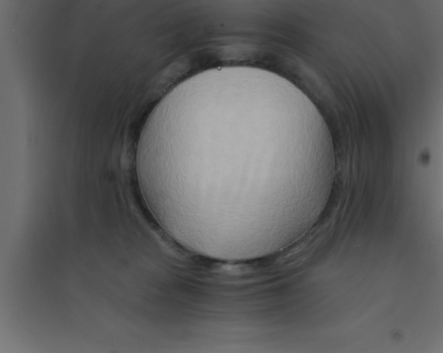 X0000094200277200711241644