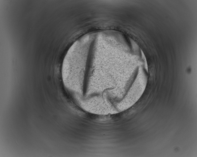 X0000094200278200711241644
