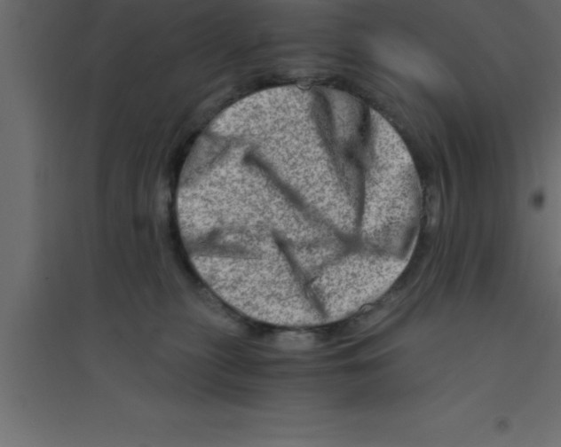 X0000094200279200711241644