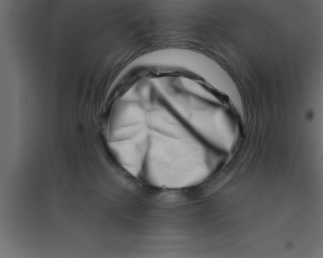 X0000094200280200711241644