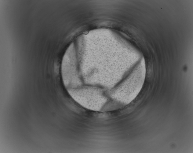X0000094200282200711241644
