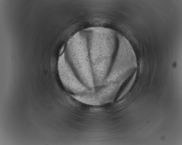 X0000094200283200711241644
