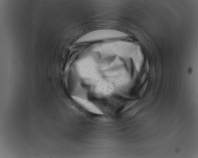 X0000094200284200711241644