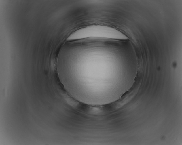 X0000094200285200711241644