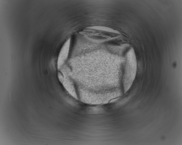 X0000094200286200711241644