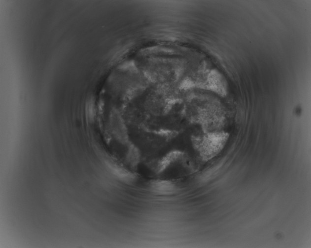 X0000094200287200711241644