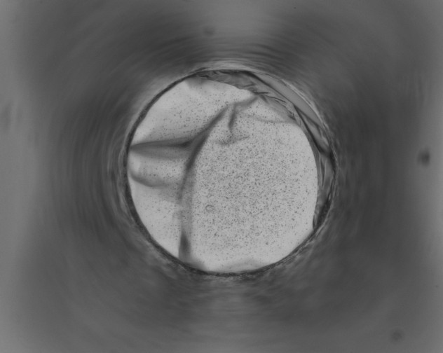 X0000094200289200711241643
