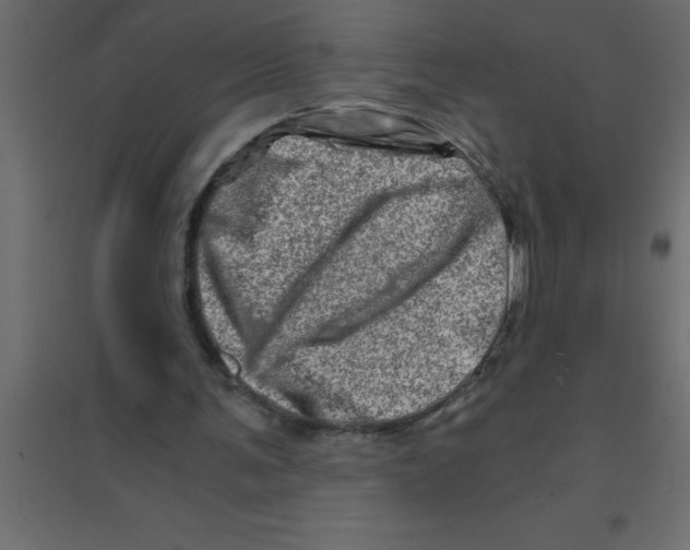 X0000094200291200711241643