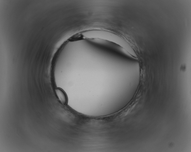 X0000094200292200711241643