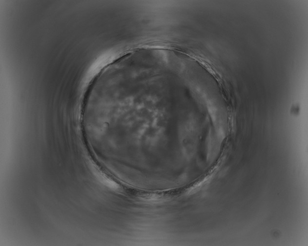 X0000094200293200711241643