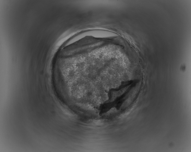 X0000094200295200711241643