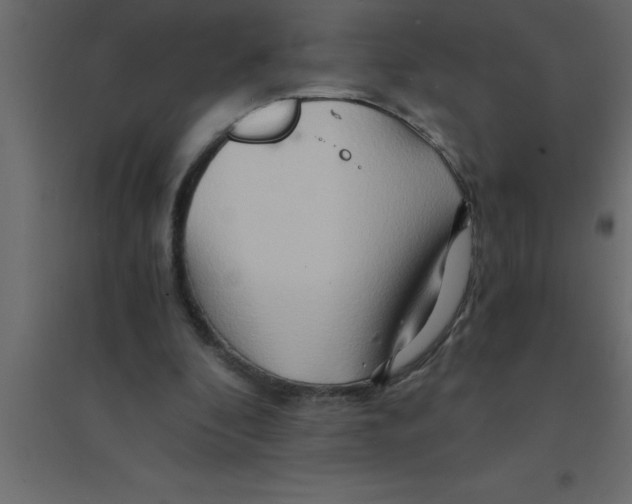 X0000094200296200711241643