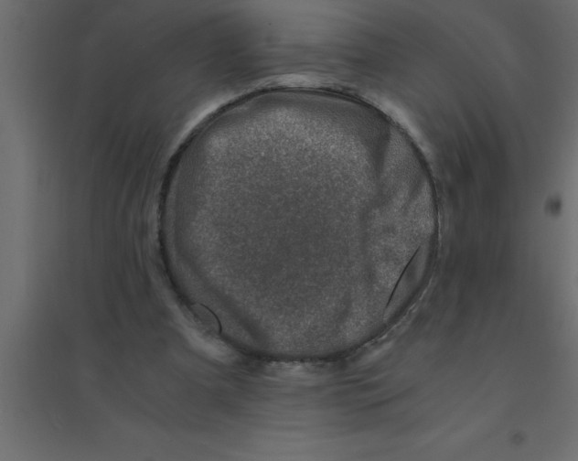 X0000094200297200711241643