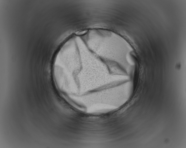 X0000094200298200711241643