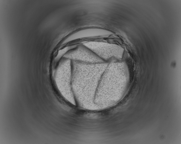X0000094200299200711241643