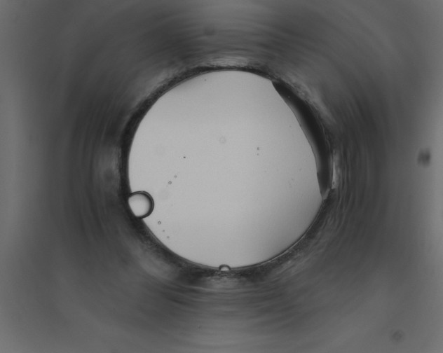 X0000094200300200711241643