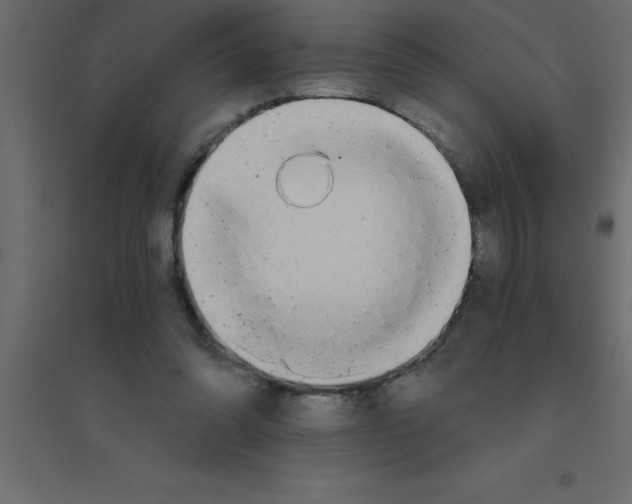 X0000094200302200711241643