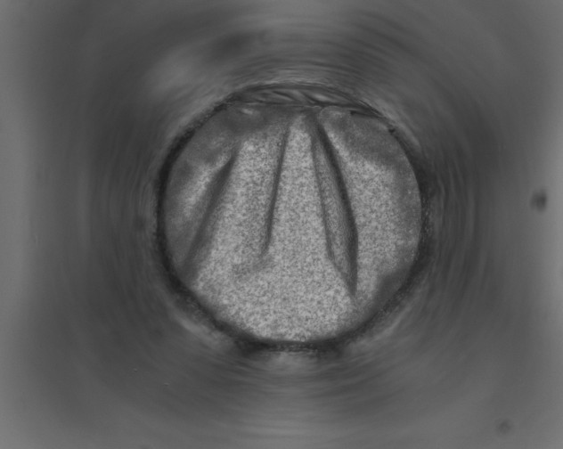 X0000094200303200711241643