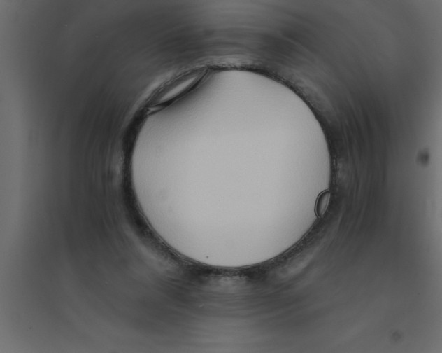 X0000094200304200711241643