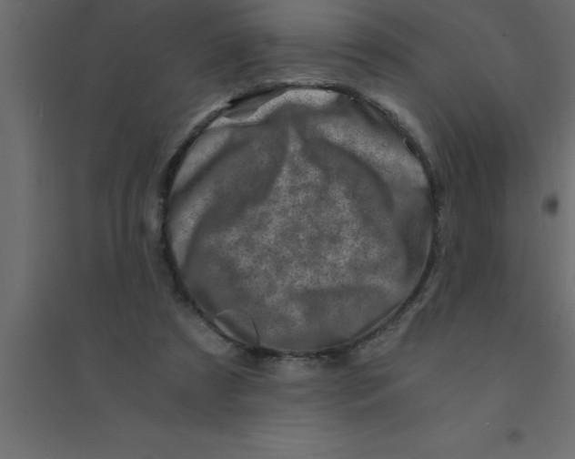 X0000094200305200711241643