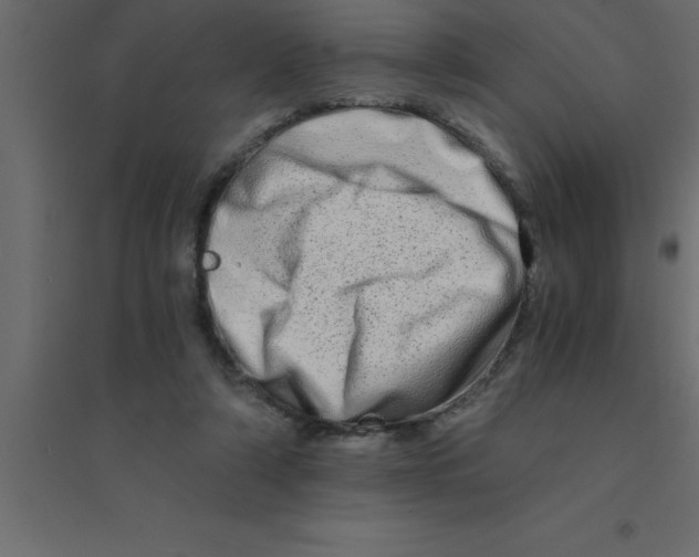 X0000094200306200711241643