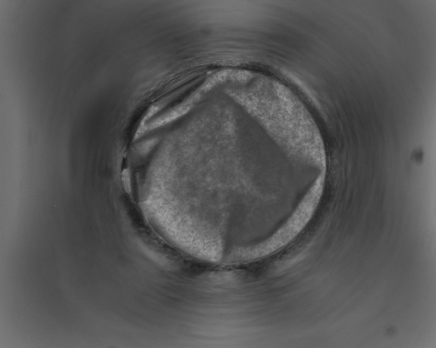 X0000094200307200711241643
