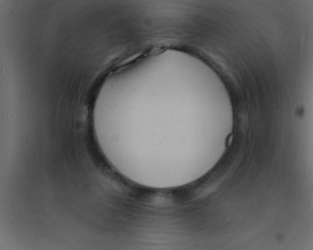 X0000094200308200711241643