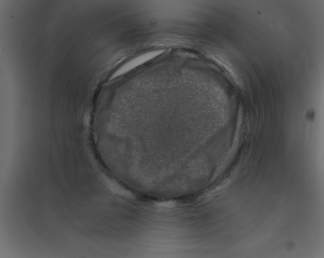 X0000094200309200711241643
