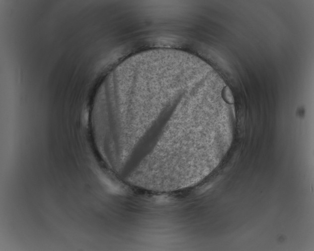 X0000094200310200711241643