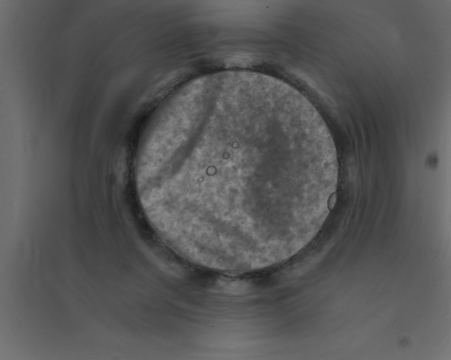 X0000094200311200711241643