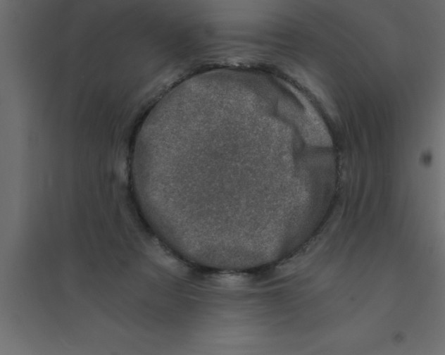 X0000094200313200711241643