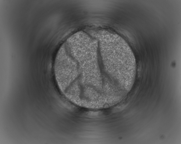 X0000094200314200711241643