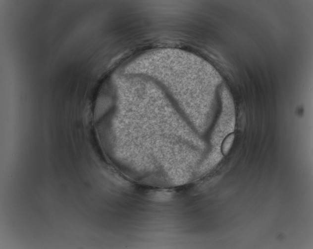 X0000094200318200711241643