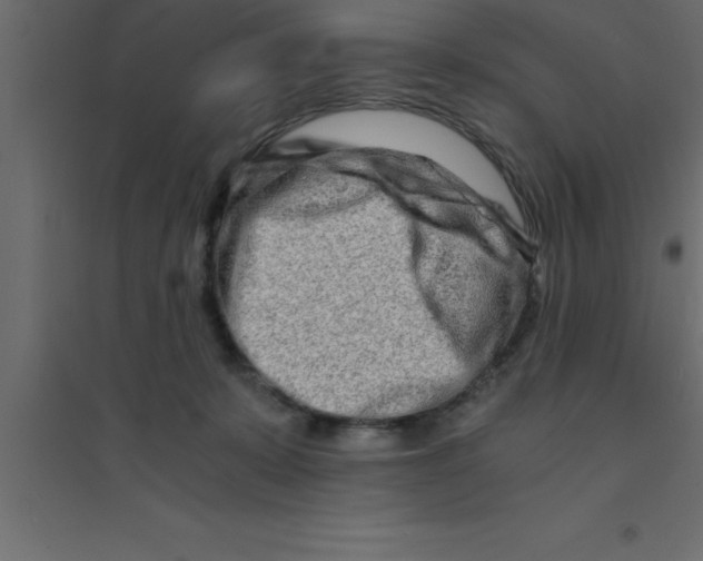X0000094200319200711241643