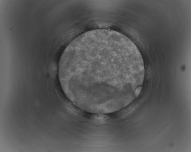 X0000094200321200711241643