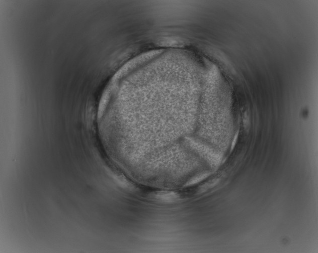 X0000094200322200711241643
