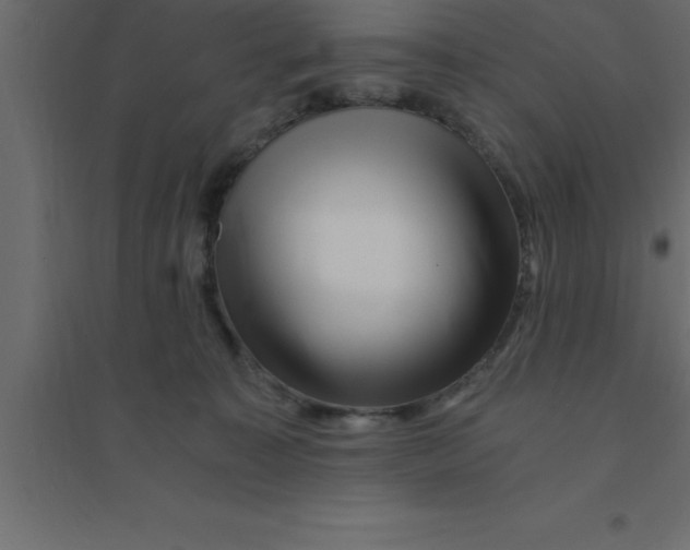 X0000094200323200711241643