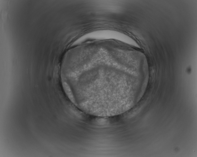 X0000094200325200711241643