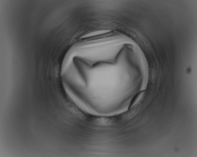 X0000094200326200711241643