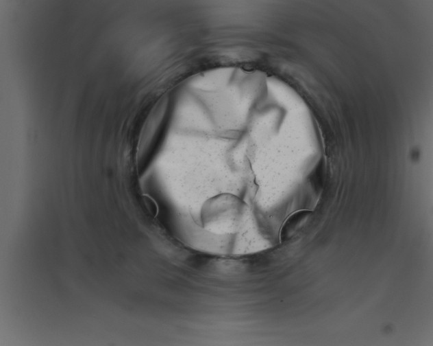 X0000094200327200711241643