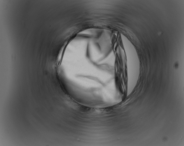X0000094200329200711241643