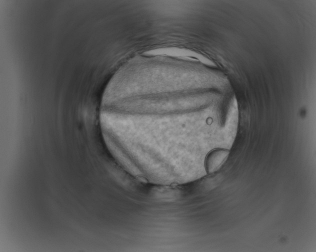 X0000094200331200711241643
