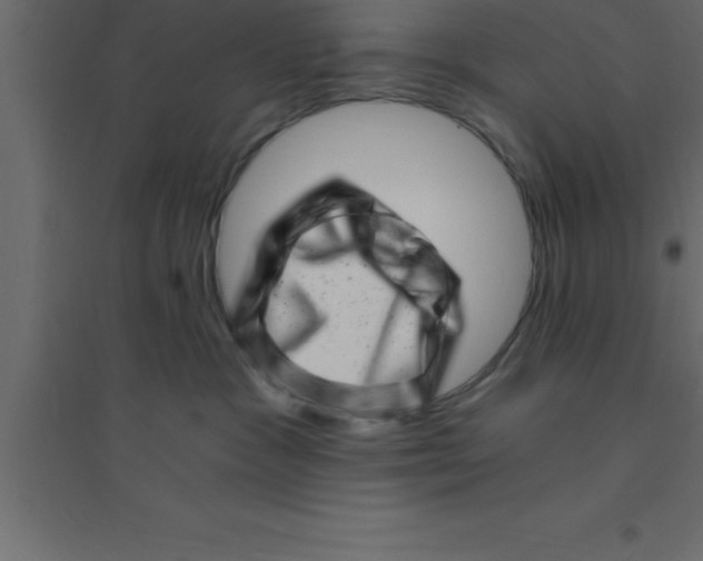 X0000094200333200711241643