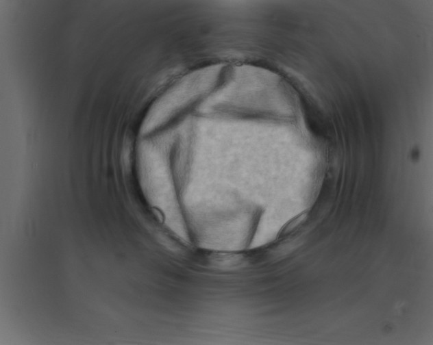 X0000094200334200711241643
