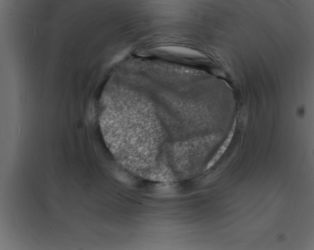 X0000094200335200711241643
