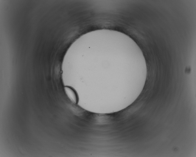 X0000094200336200711241643