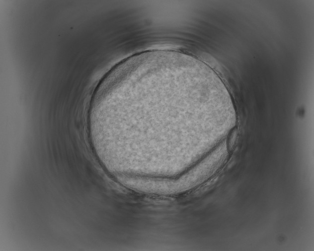 X0000094200337200711241642
